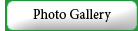 photo gallery