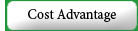 Cost Advantage